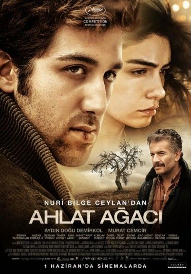 Amerikalı aktris Maggie Grace: filmografi ve hayattaki gerçekler Amerikalı aktris Maggie Grace: filmografi ve hayattaki gerçekler